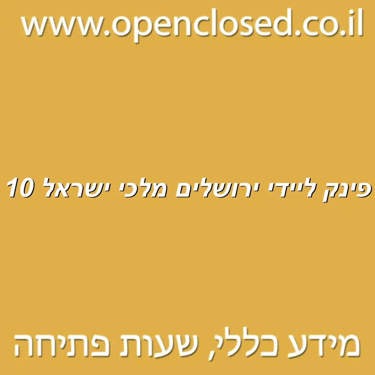 פינק ליידי ירושלים מלכי ישראל 10