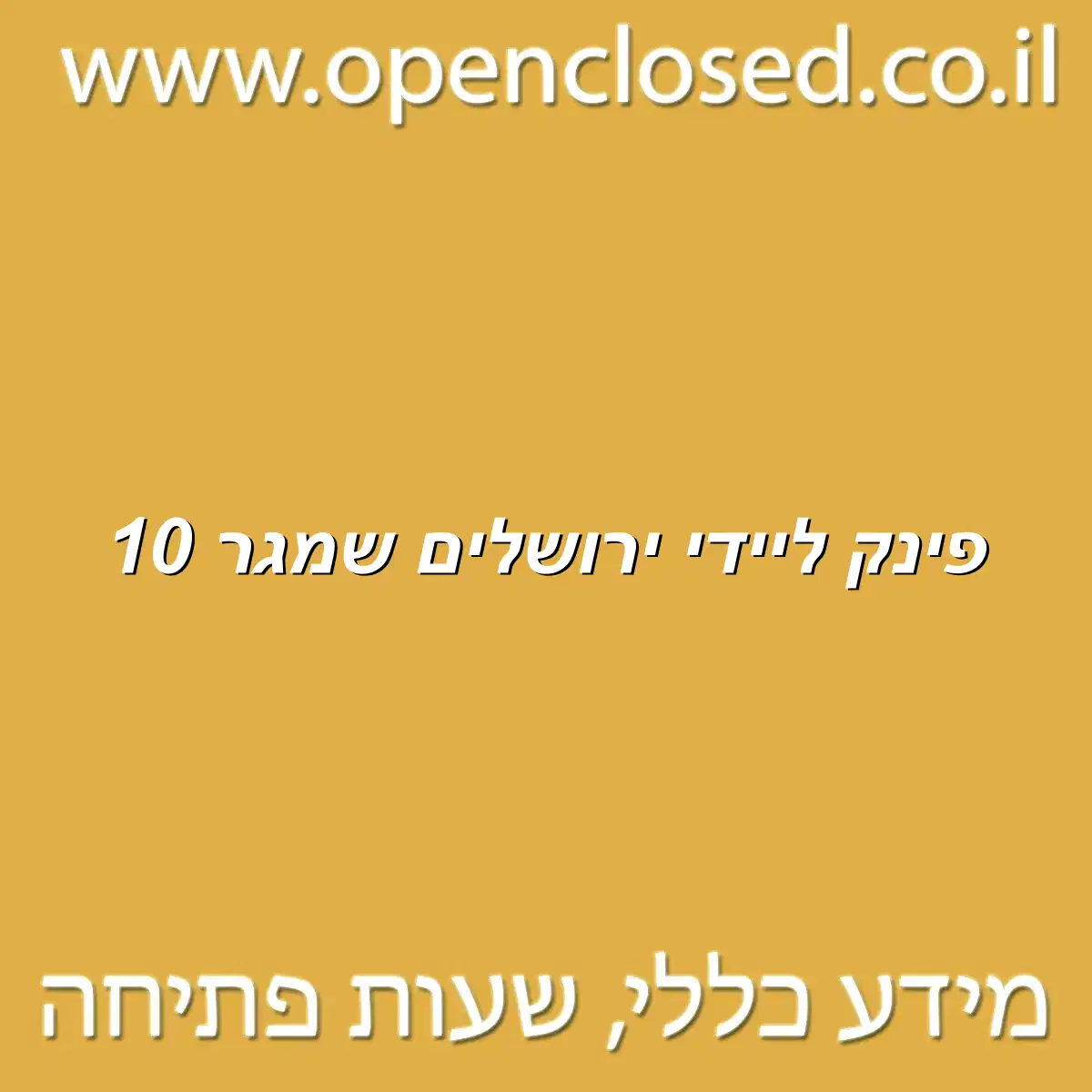 פינק ליידי ירושלים שמגר 10