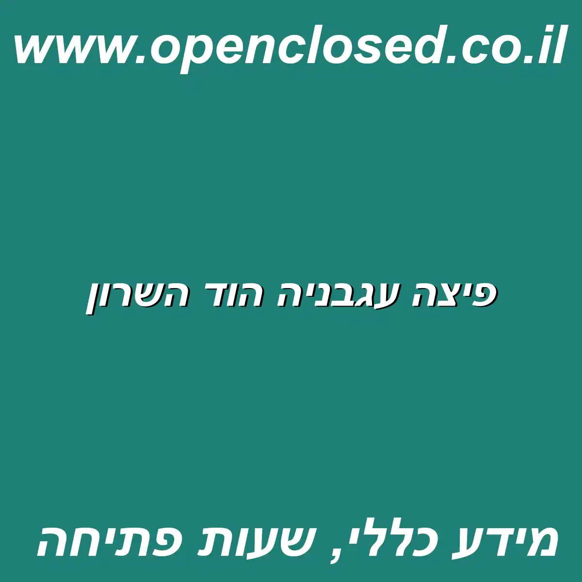 פיצה עגבניה הוד השרון
