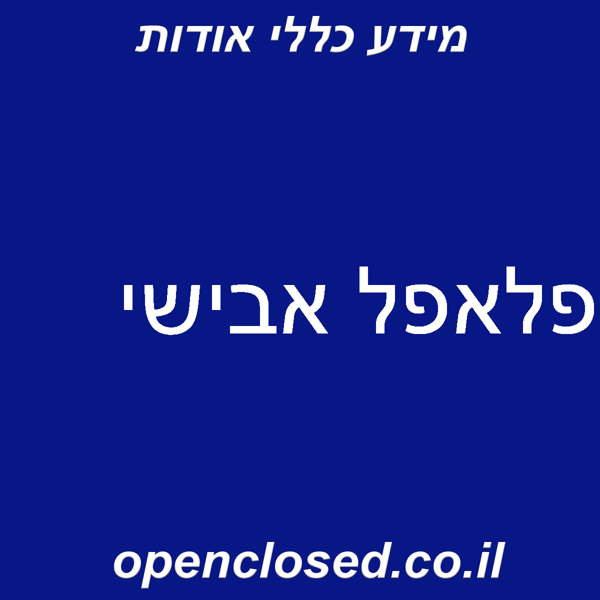 פלאפל אבישי