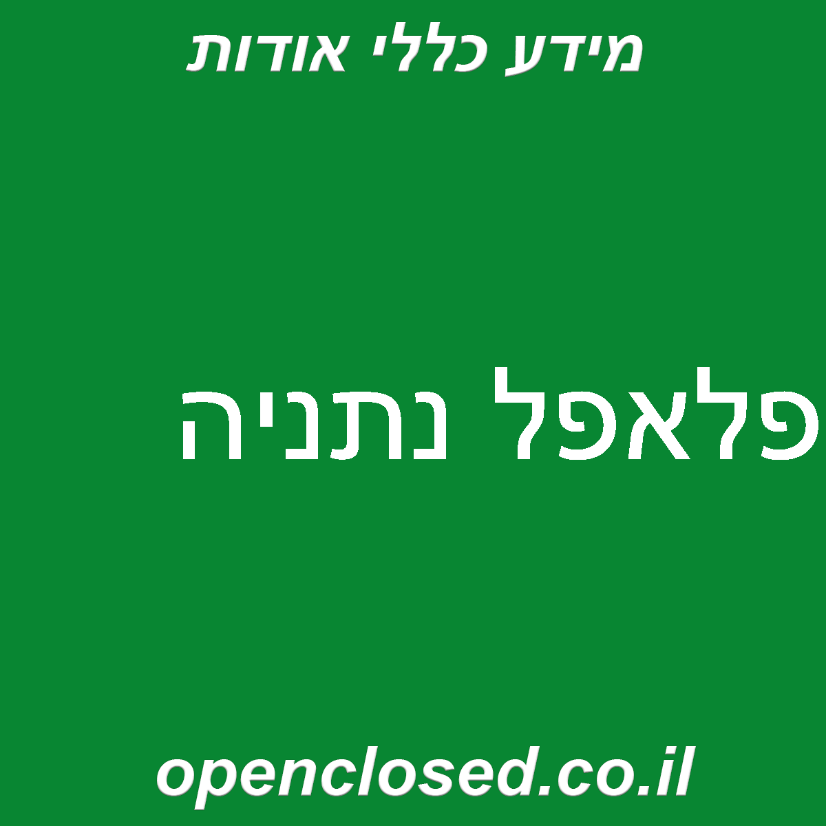 פלאפל נתניה