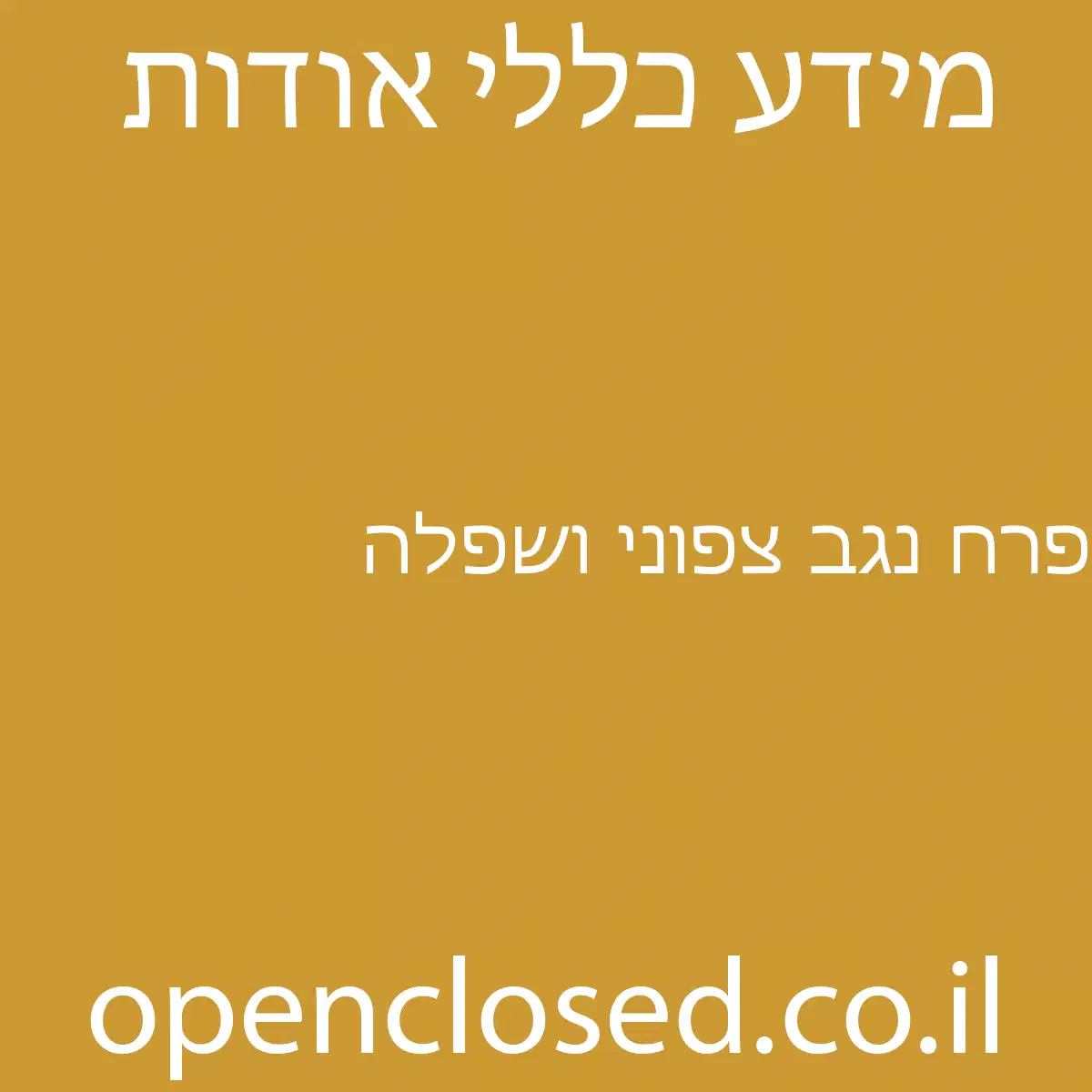 פרח נגב צפוני ושפלה