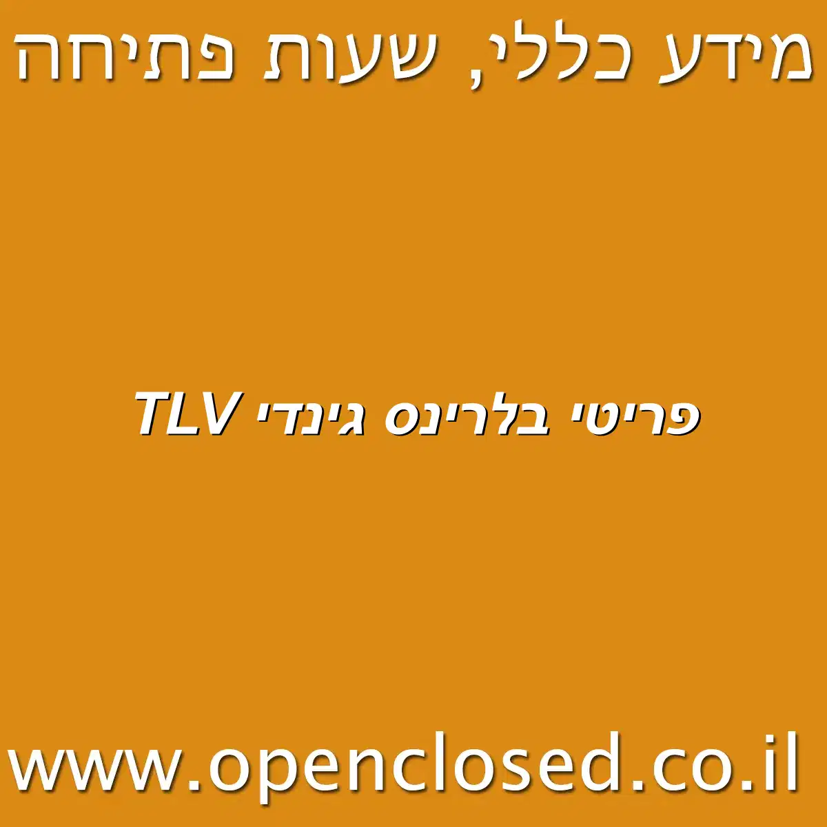 פריטי בלרינס גינדי TLV