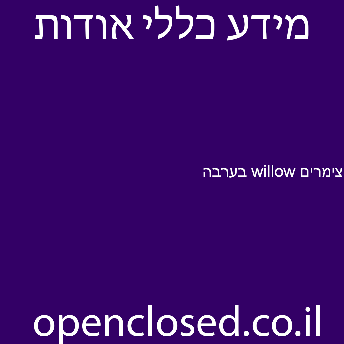 צימרים willow בערבה