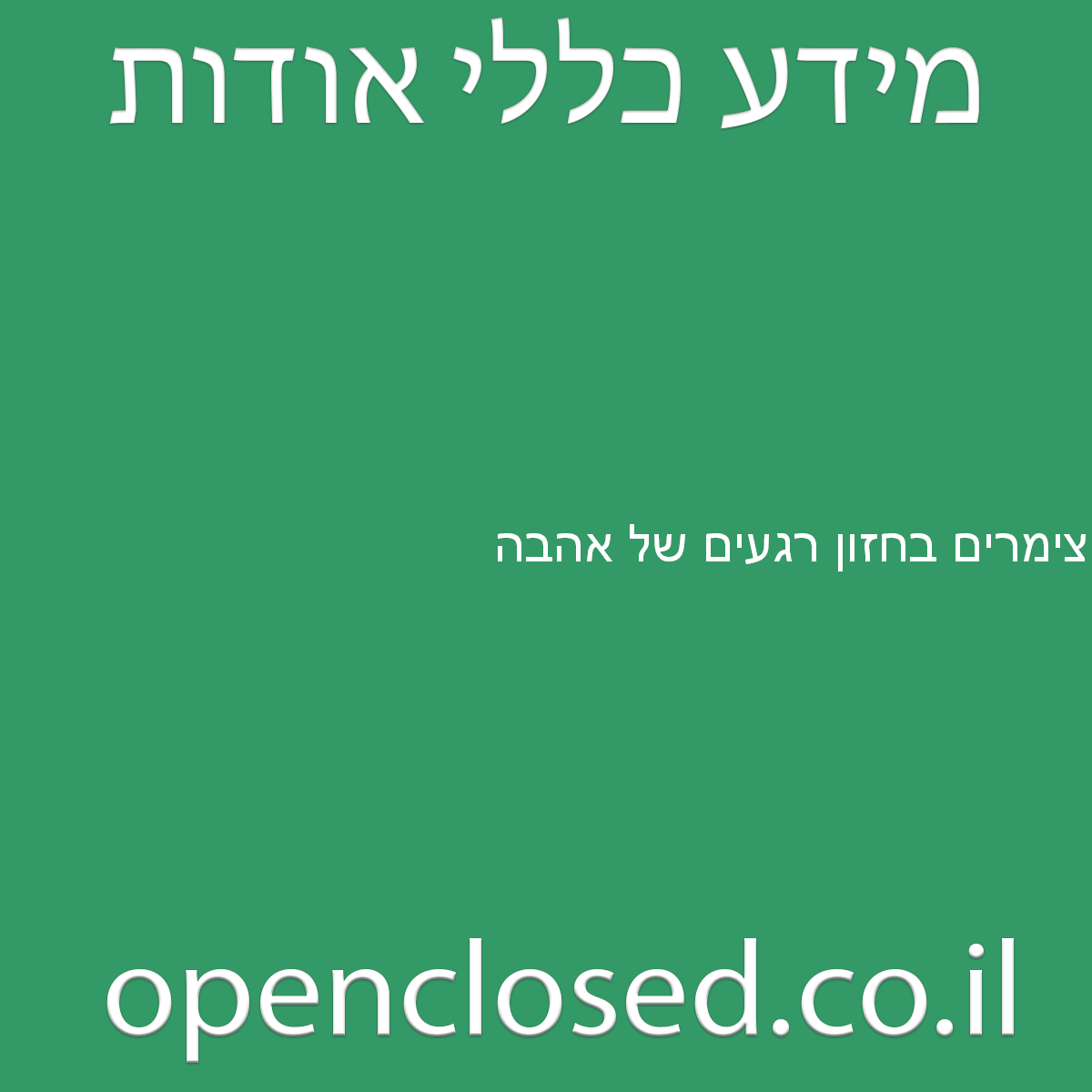 צימרים בחזון רגעים של אהבה