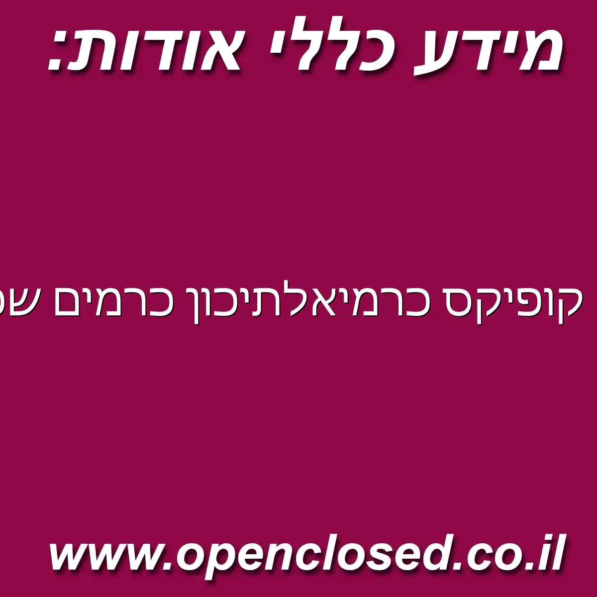 קופיקס כרמיאל תיכון כרמים שכונת הגליל