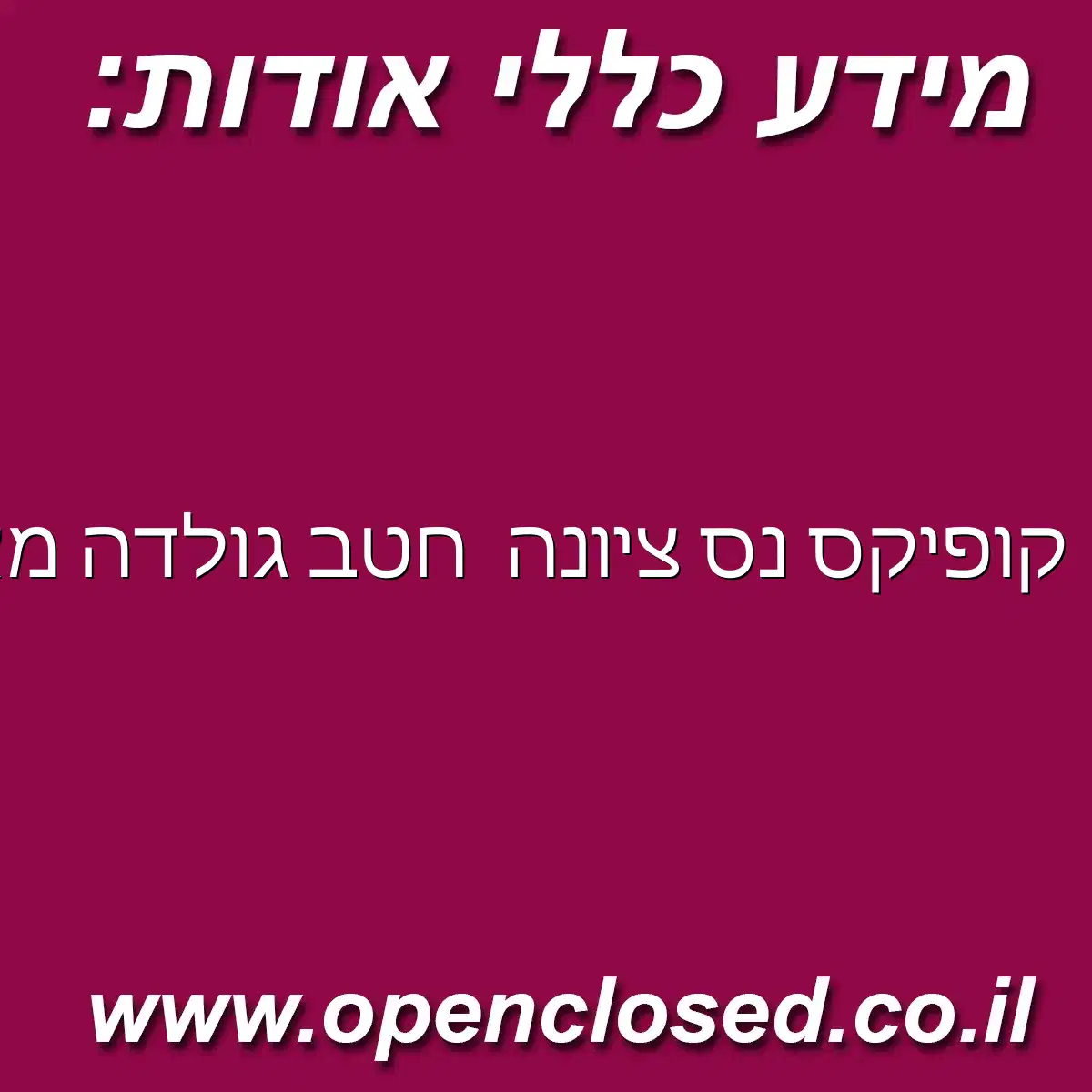 קופיקס נס ציונה חטב גולדה מאיר