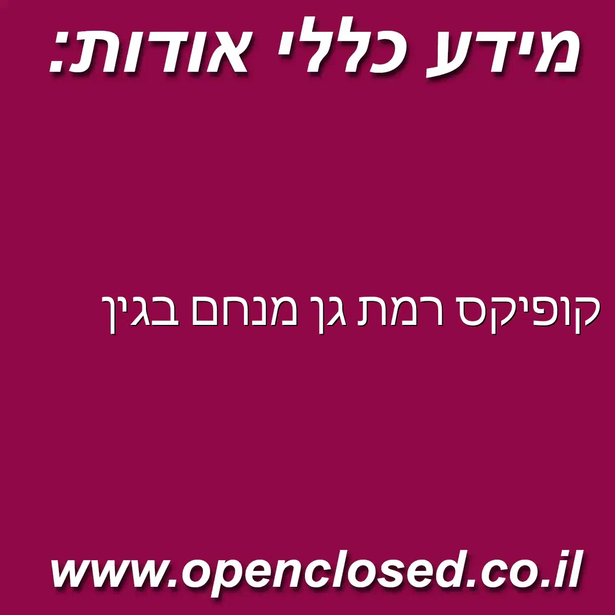 קופיקס רמת גן מנחם בגין