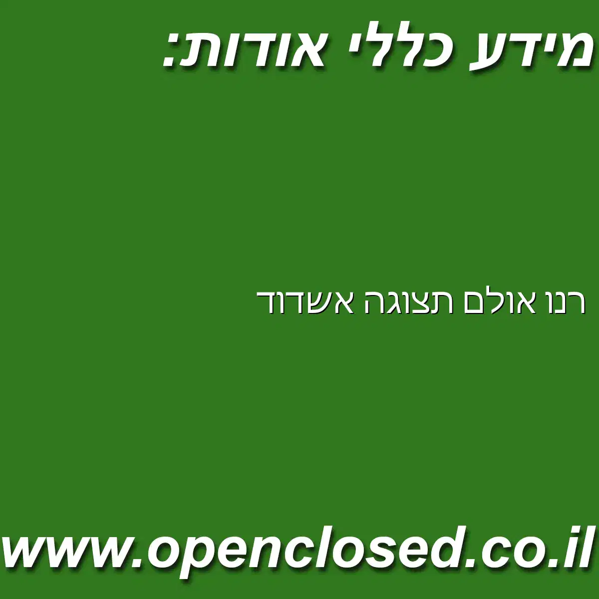 רנו אולם תצוגה אשדוד