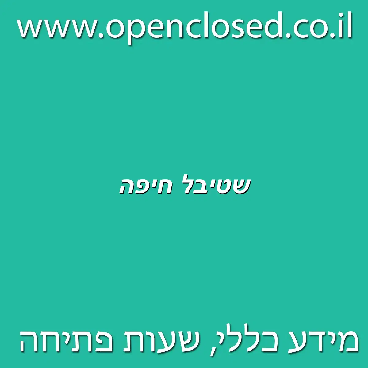 שטיבל חיפה