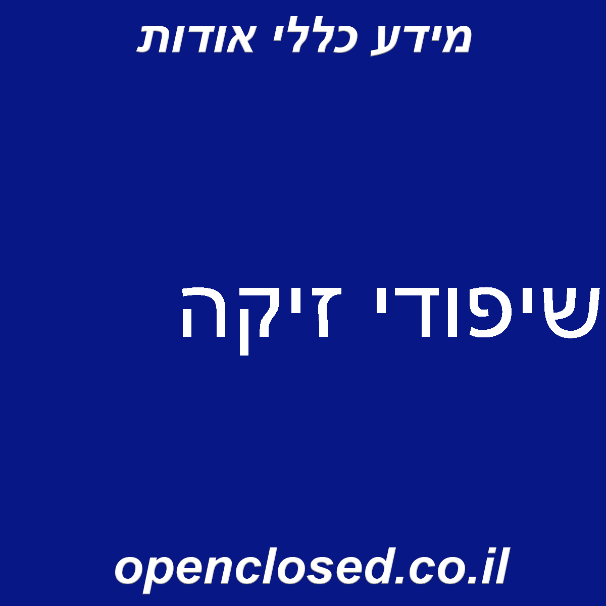 שיפודי זיקה