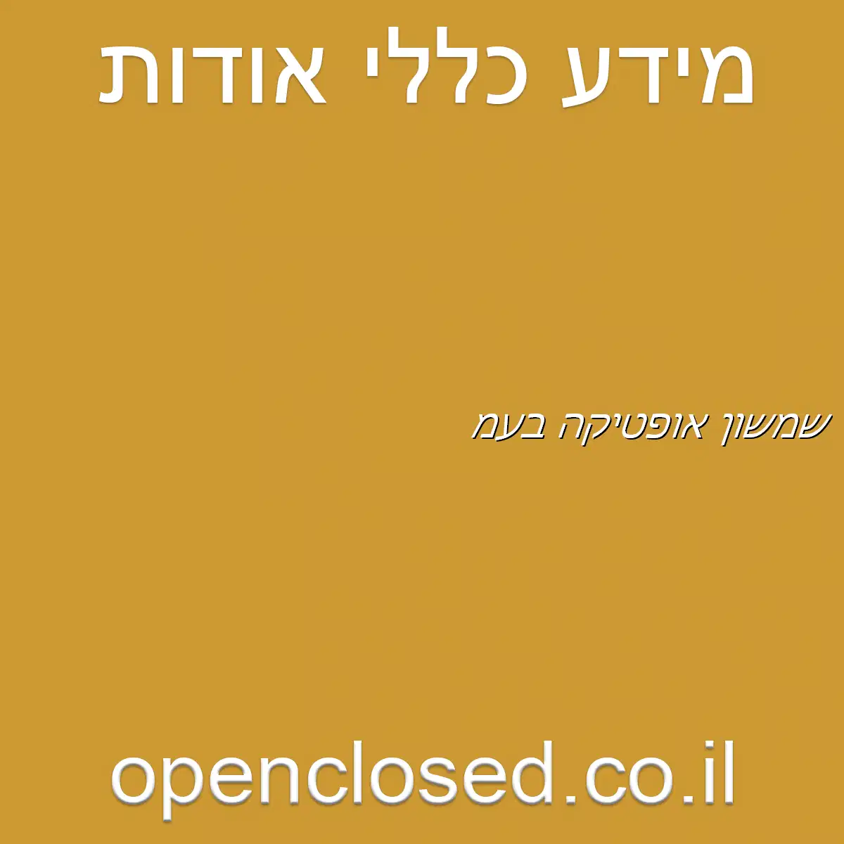 שמשון אופטיקה בע”מ