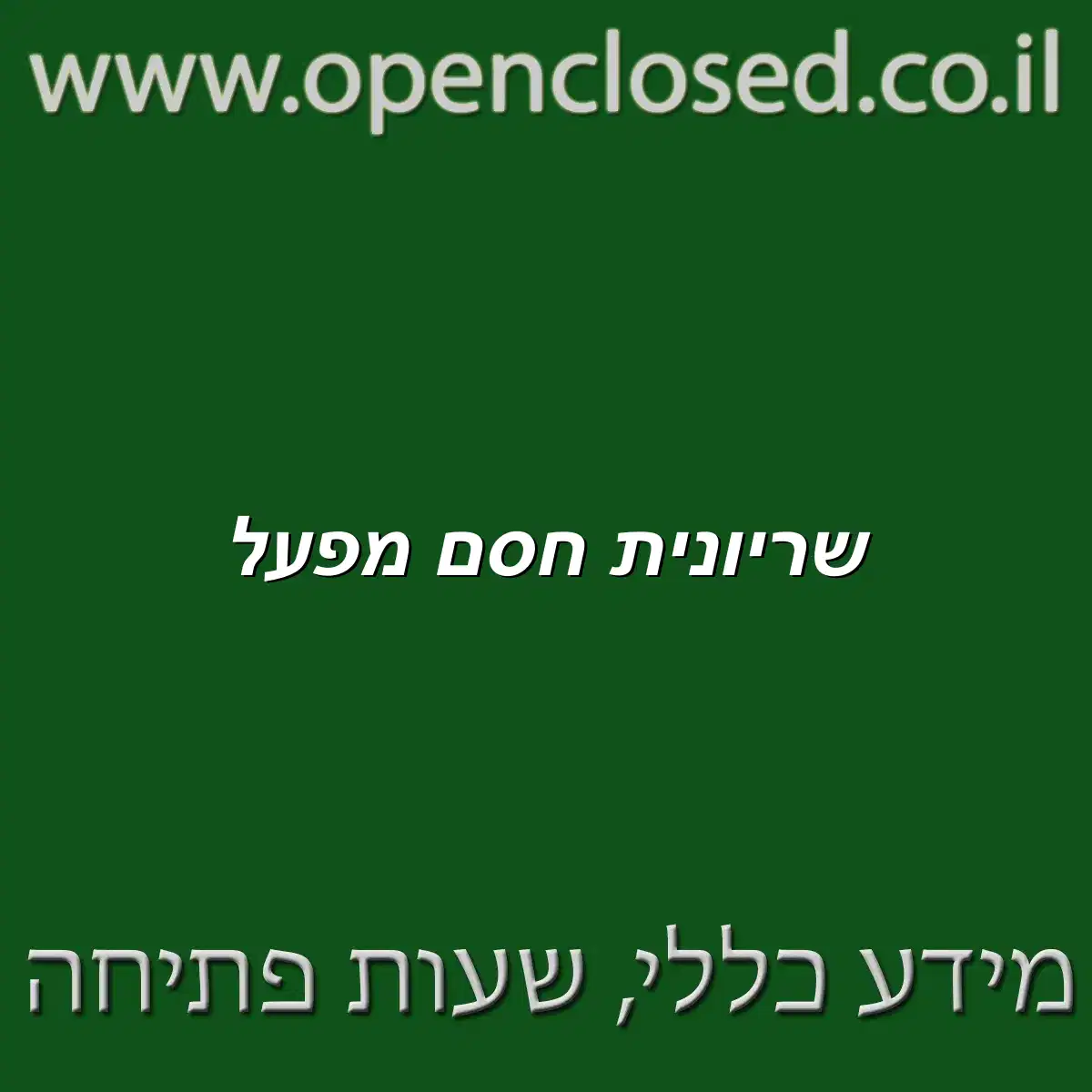 שריונית חסם מפעל