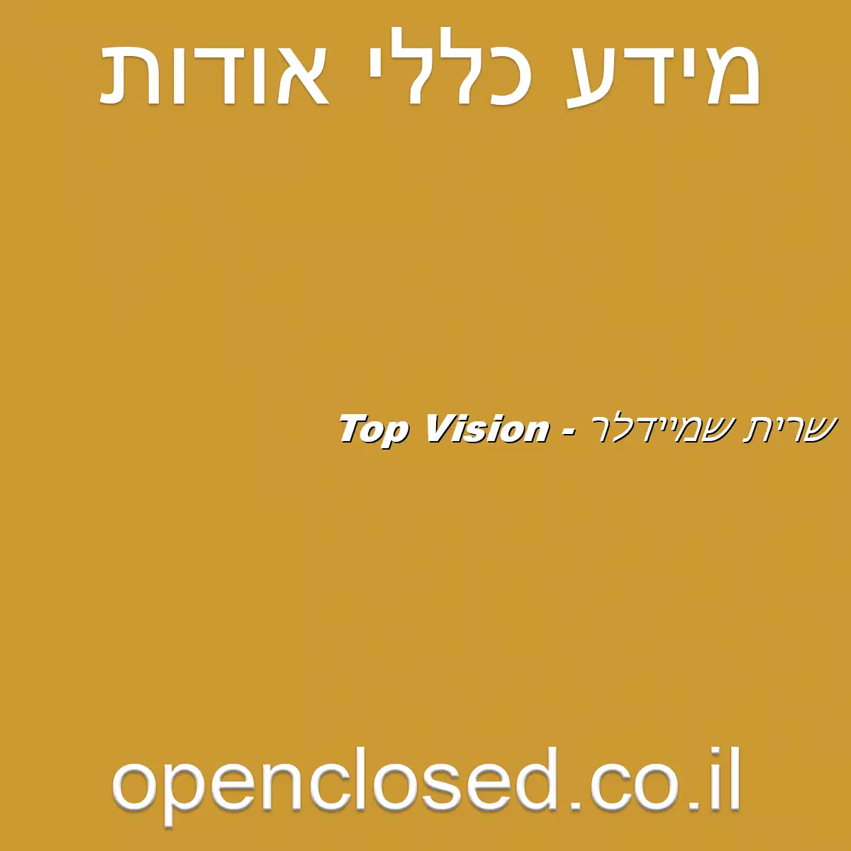 שרית שמיידלר – Top Vision