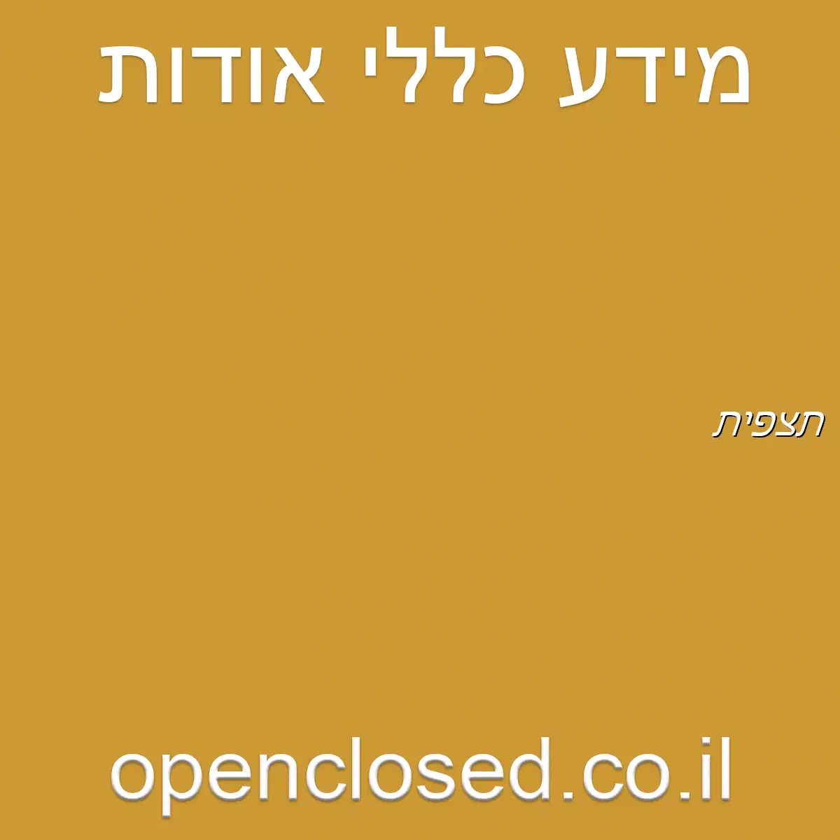 תצפית